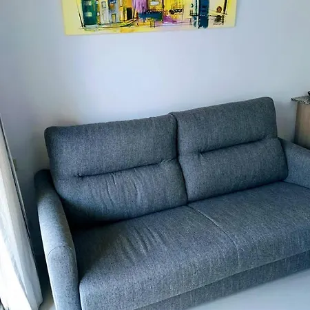 Magnifique Logement Roses